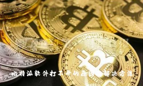 比特派软件打不开的原因及解决方法