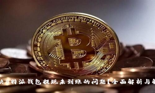 如何解决B特派钱包提现未到账的问题？全面解析与解决方案