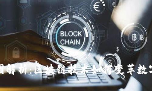 威尔逊币图解析：区块链技术如何变革数字货币市场