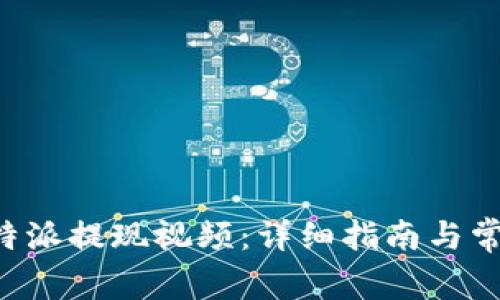 如何查看B特派提现视频：详细指南与常见问题解答