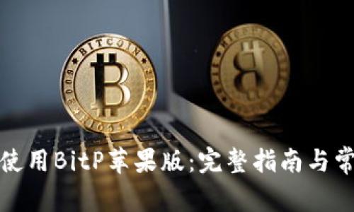 如何下载和使用BitP苹果版：完整指南与常见问题解答