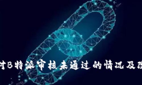 如何应对B特派审核未通过的情况及改善建议