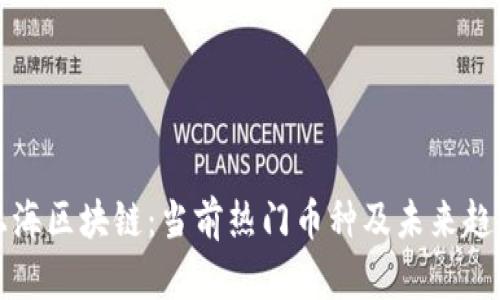 探索上海区块链：当前热门币种及未来趋势分析