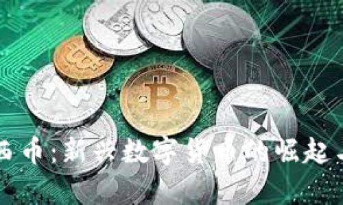 区块链哈西币：新兴数字货币的崛起与前景分析