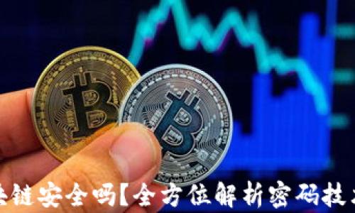 
最新加密区块链安全吗？全方位解析密码技术与安全隐患