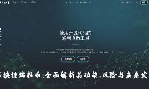 区块链瑞拉币：全面解析其功能、风险与未来发展