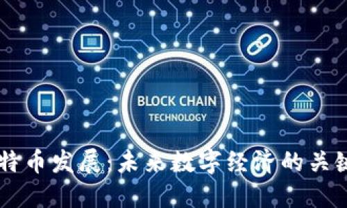 区块链特币发展：未来数字经济的关键驱动力