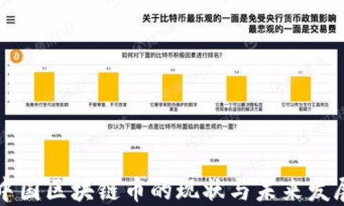 
中国区块链币的现状与未来发展